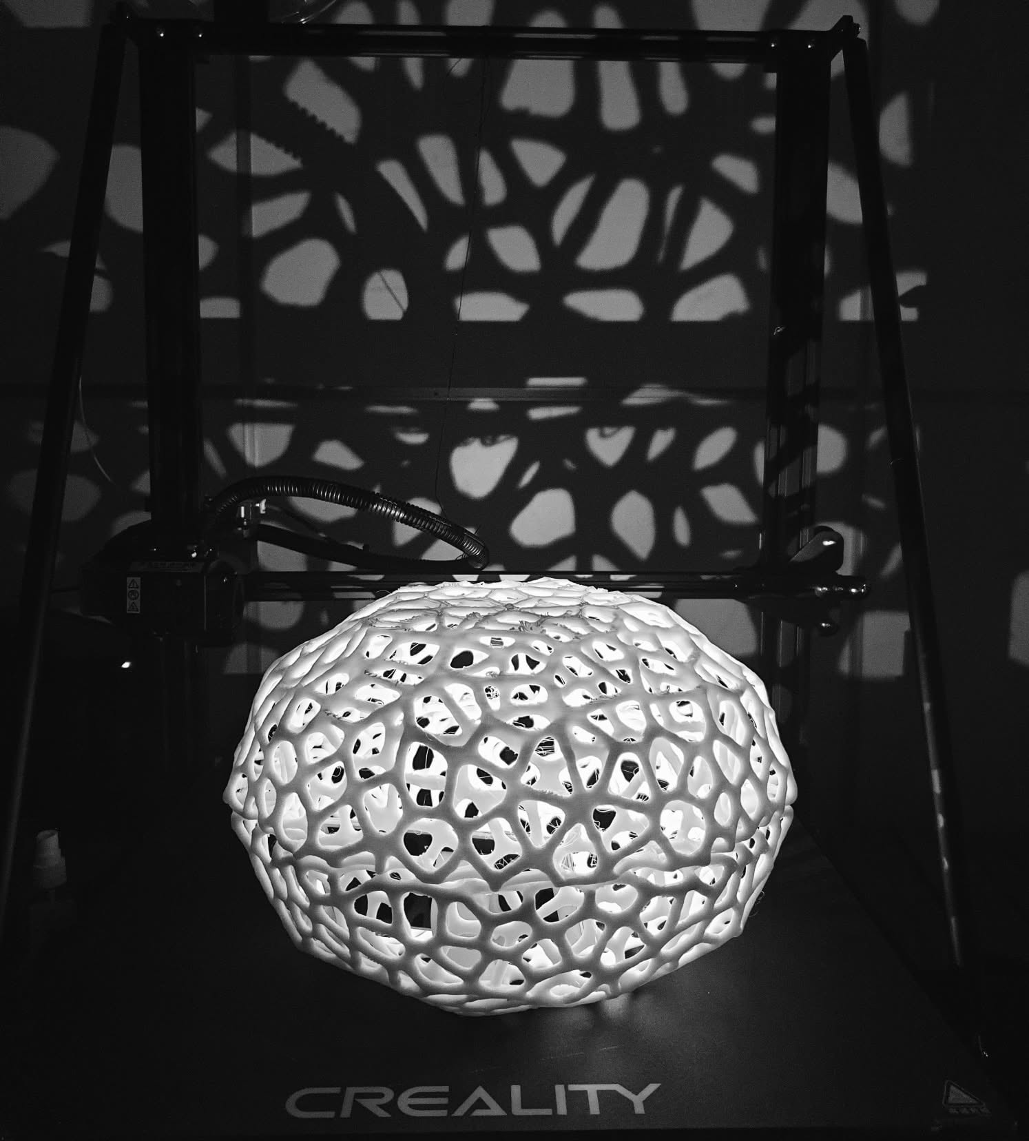 Explore Our Shop
